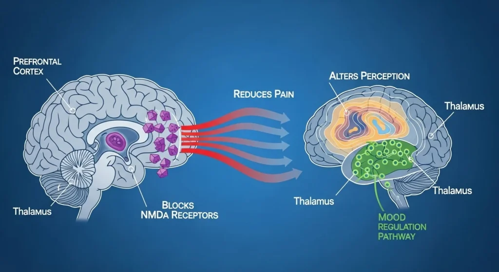 How Does Ketamine Work