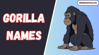 Gorilla Names