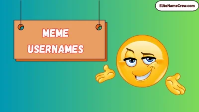 Meme Usernames