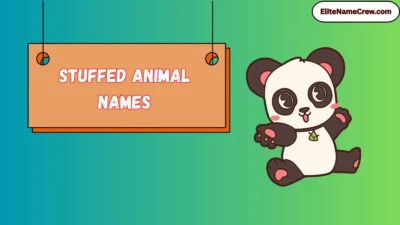 Stuffed Animal Names
