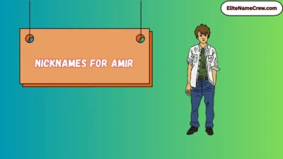 Nicknames for Amir
