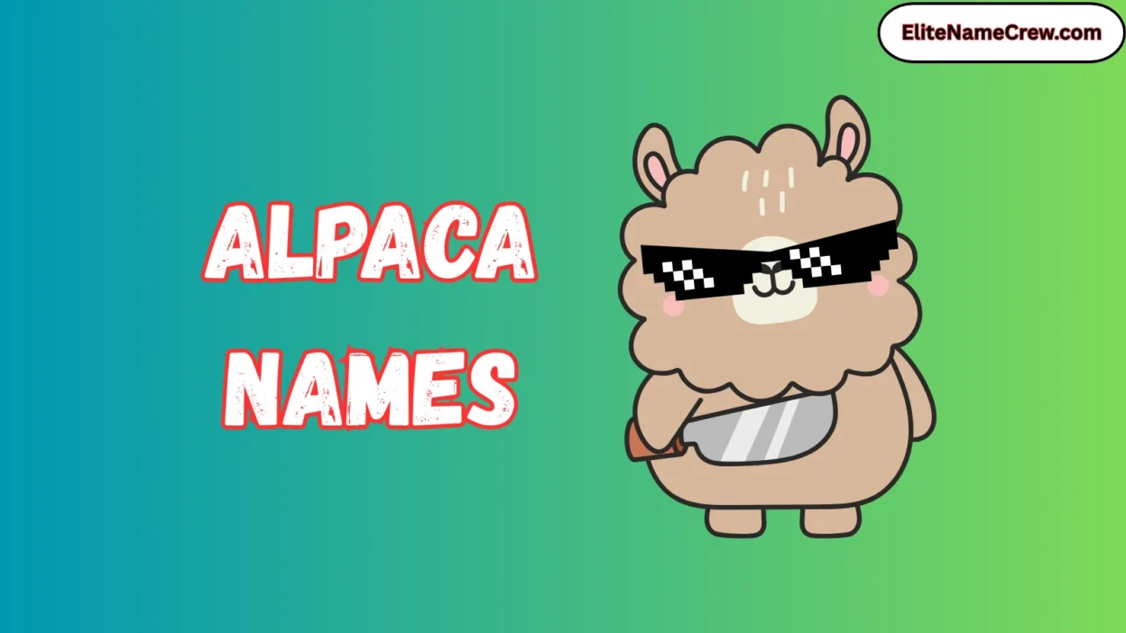 Alpaca Names