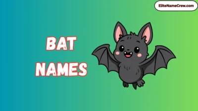 Bat Names