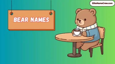 Bear Names
