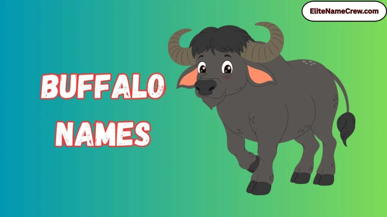 Buffalo Names