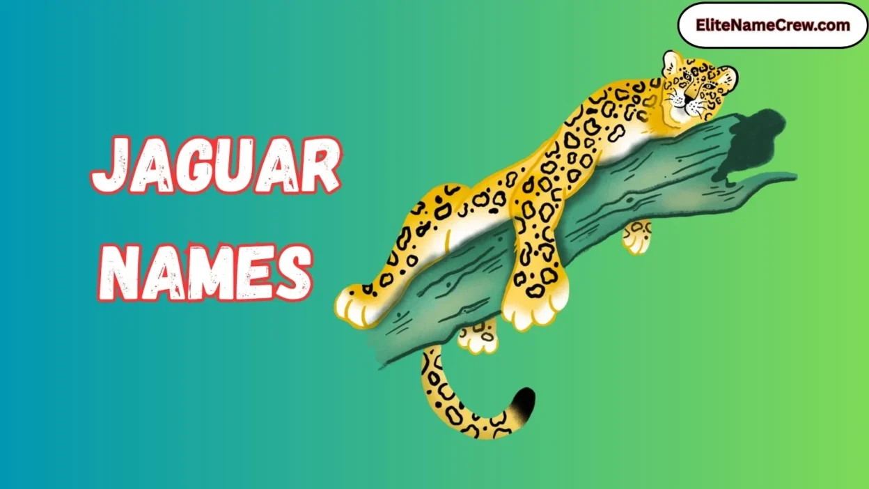 Jaguar Names