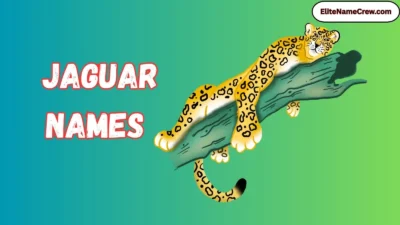 Jaguar Names