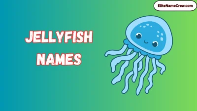 Jellyfish Names