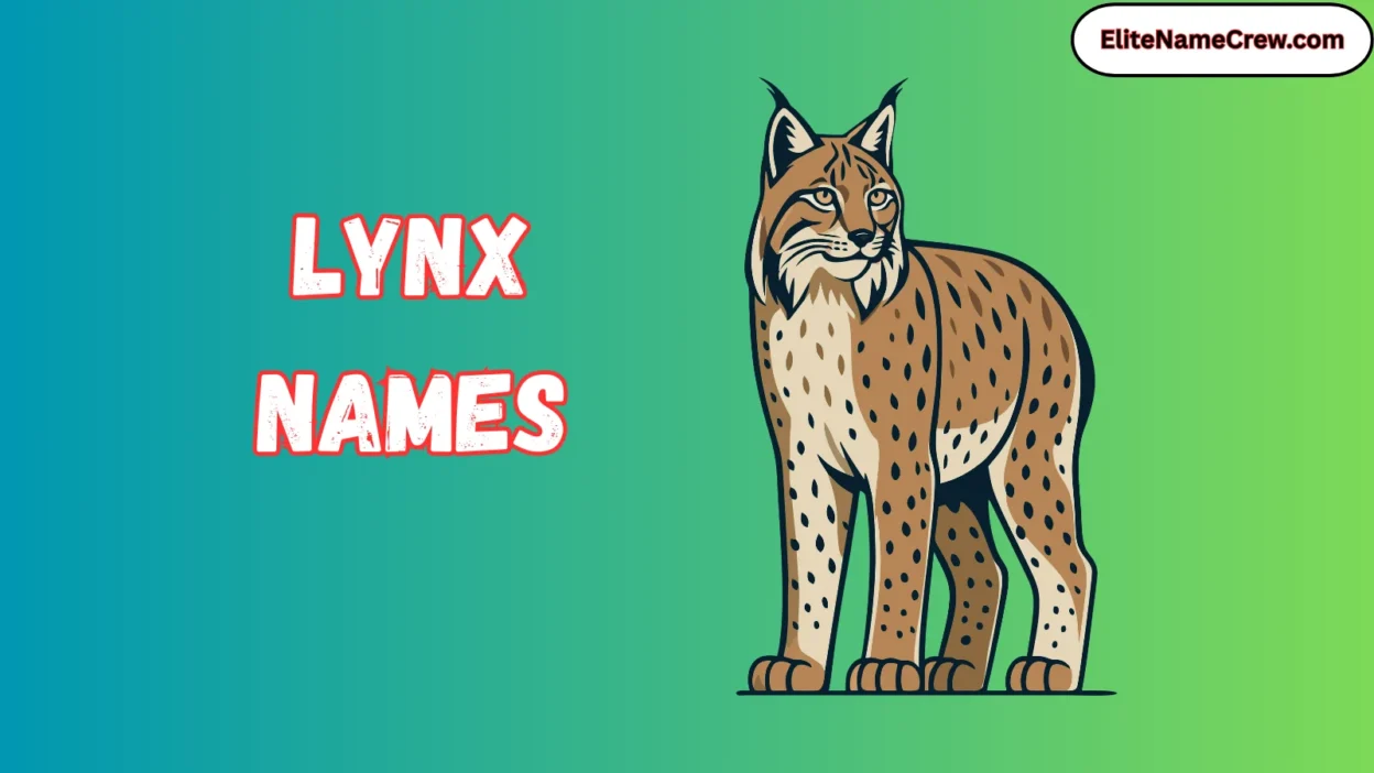 Lynx Names