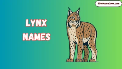 Lynx Names