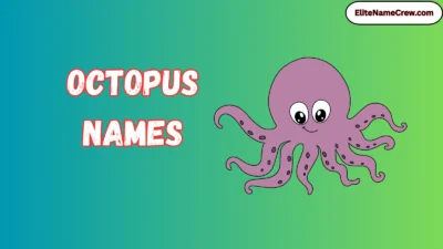 Octopus Names