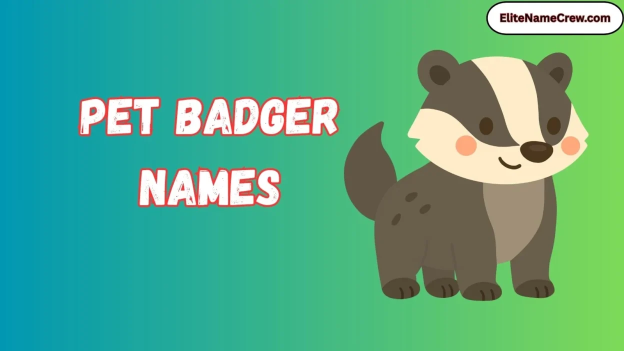 Pet Badger Names
