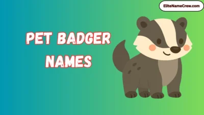 Pet Badger Names