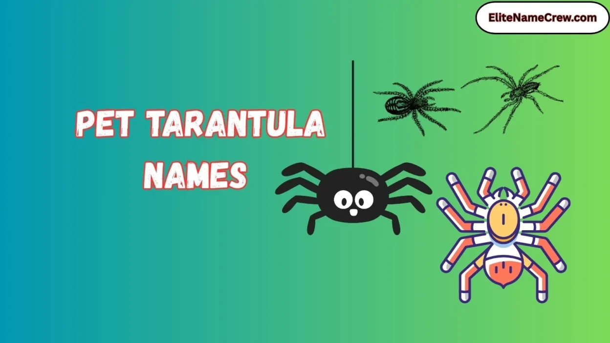 Pet Tarantula Names