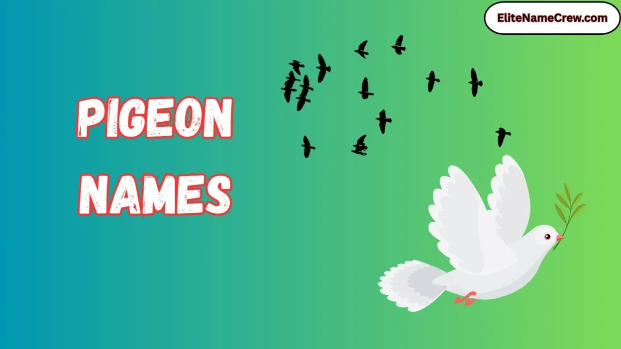 Pigeon Names