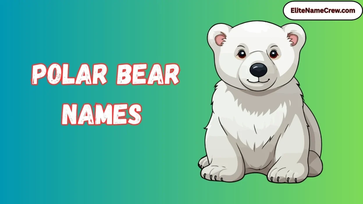 Polar Bear Names