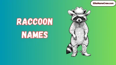 Raccoon Names
