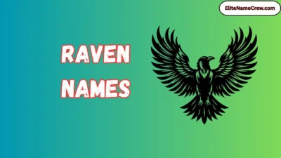 Raven Names