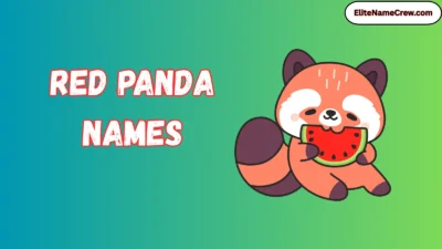 Red Panda Names