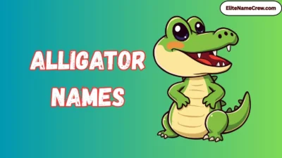 Alligator Names