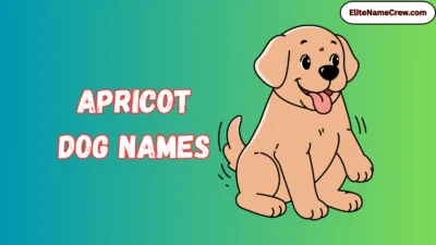 Apricot Dog Names