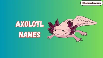 Axolotl Names