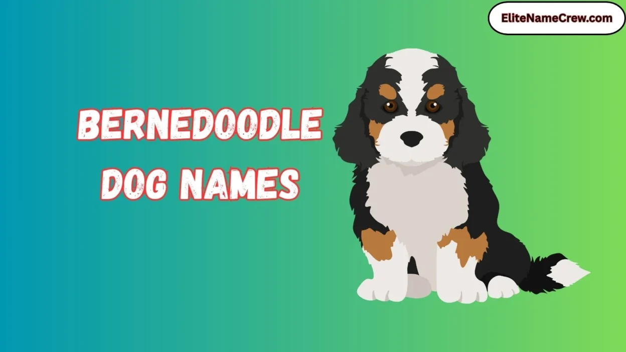 Bernedoodle Dog Names