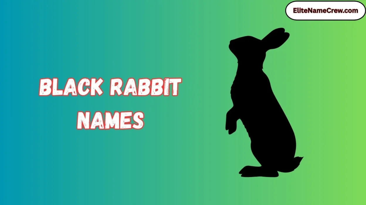 Black Rabbit Names