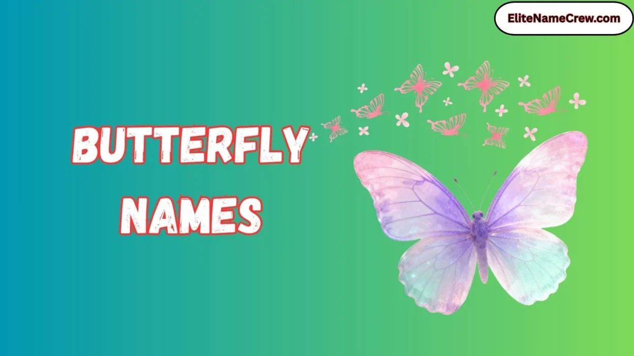 Butterfly Names
