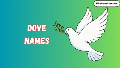 Dove Names
