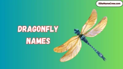 Dragonfly Names
