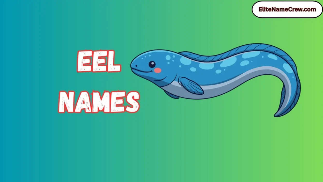 Eel Names