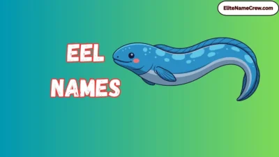 Eel Names