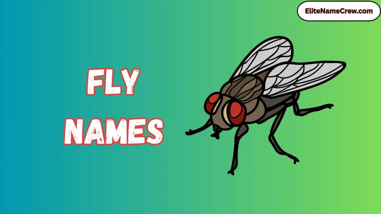 Fly Names