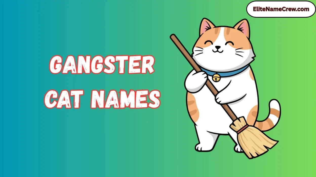 Gangster Cat Names