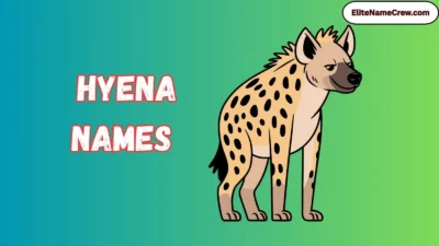 Hyena Names
