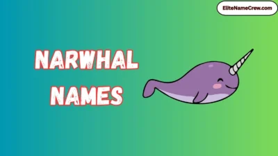 Narwhal Names