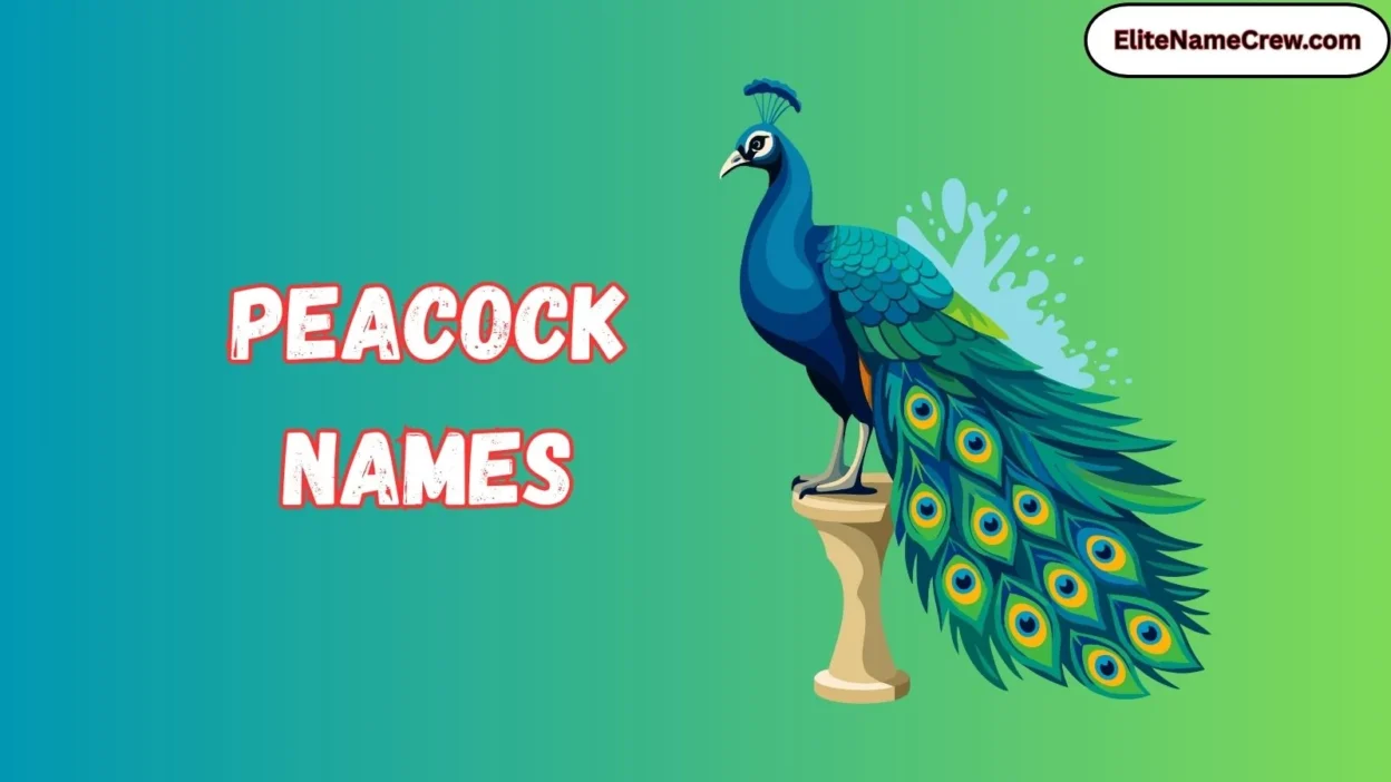 Peacock Names