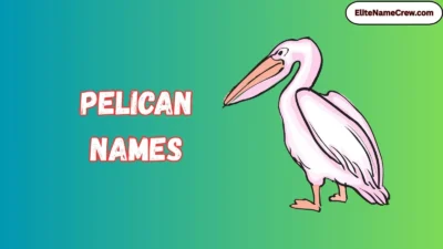 Pelican Names