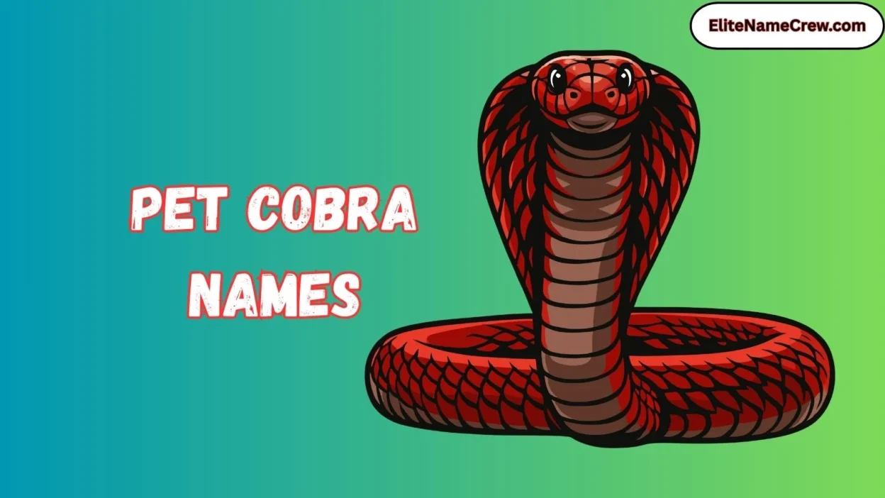 Pet Cobra Names