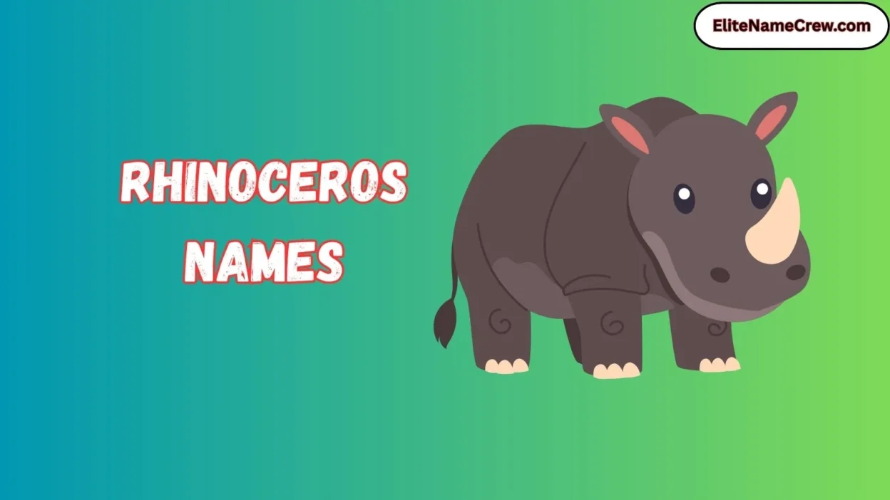 Rhinoceros Names