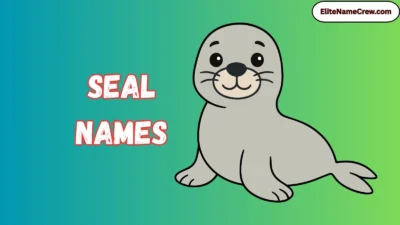Seal Names