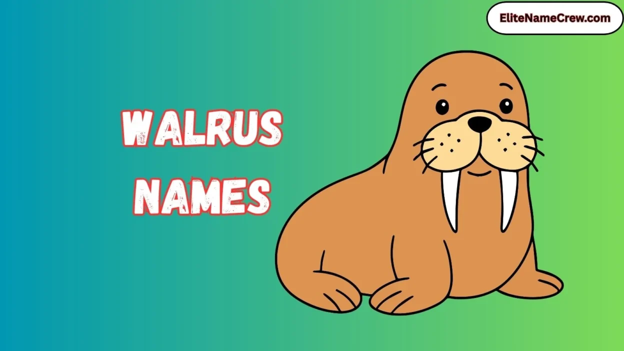 Walrus Names