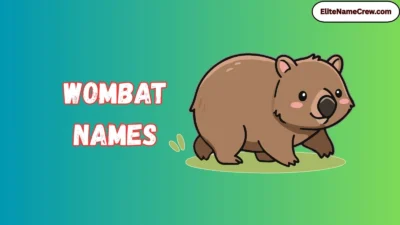 Wombat Names