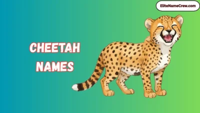 Cheetah Names