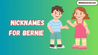 Nicknames for Bernie