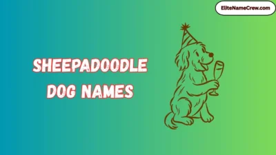 Sheepadoodle Dog Names