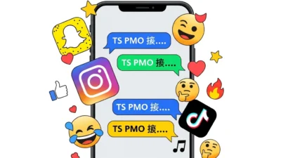What Does TS PMO Mean